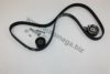AUTOMEGA 1016060434 Timing Belt Kit